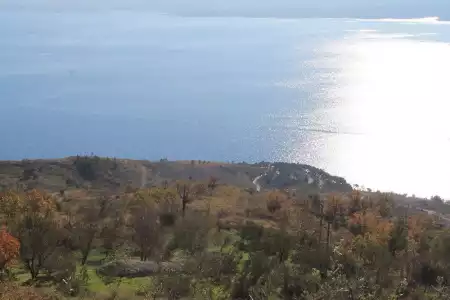 GRAĐEVINSKO ZEMLJIŠTE, LOKVA ROGOZNICA, STARO SELO