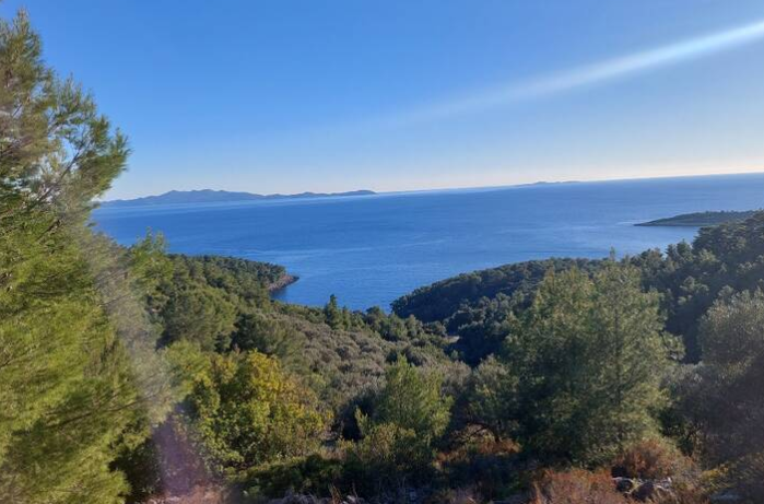 LAND INSEL KORCULA