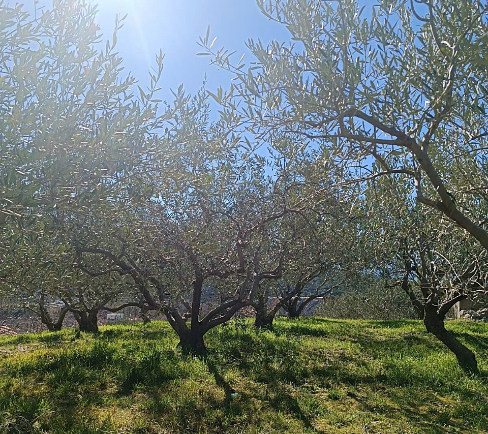 BAULAND OMIŠ, GATA