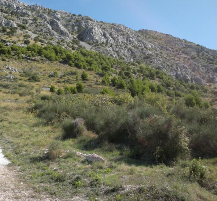 AGRICULTURAL LAND OMIŠ