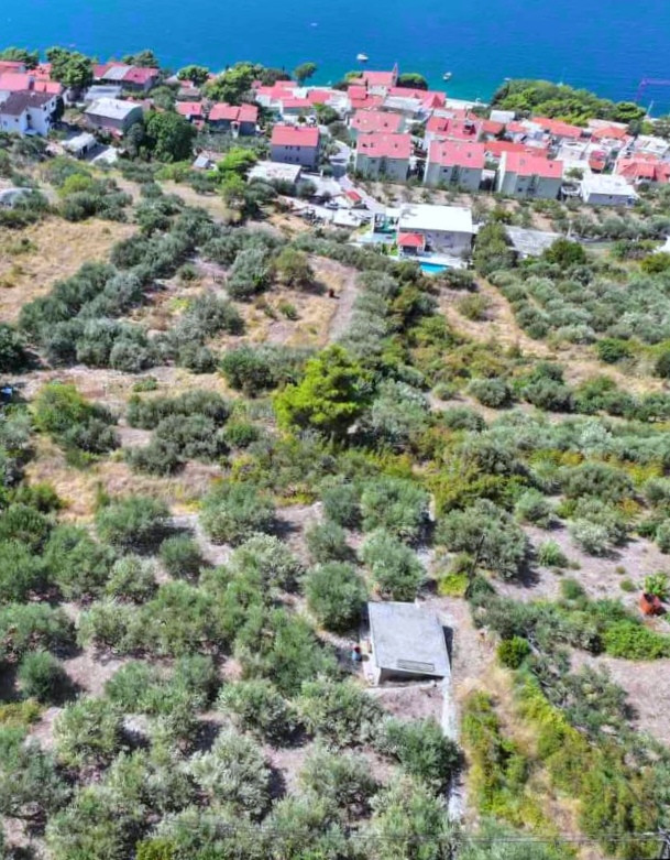 BUILDING PLOT WITH OLIVE GROVE